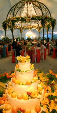 Rizzo Weddings